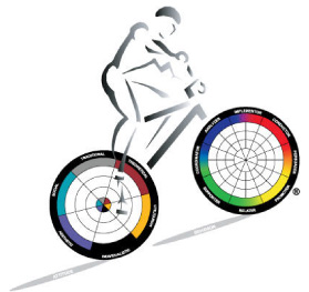 disc-wheel